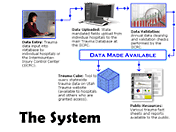 The System (Icon)
